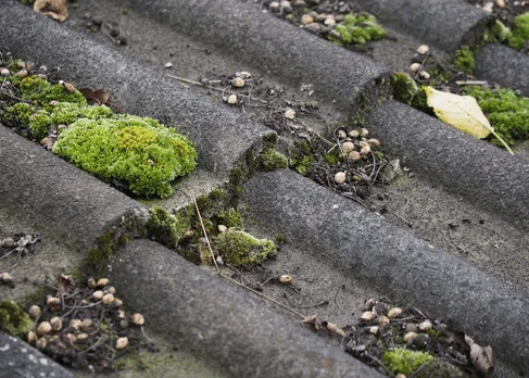 demoussage toiture cassis