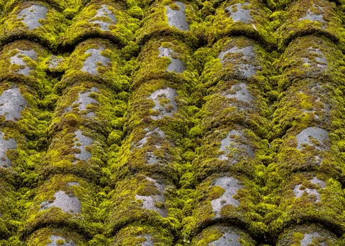 nettoyage demoussage toiture aubagne